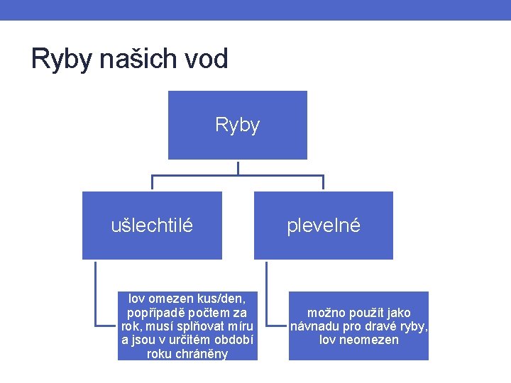 Ryby našich vod Ryby ušlechtilé lov omezen kus/den, popřípadě počtem za rok, musí splňovat