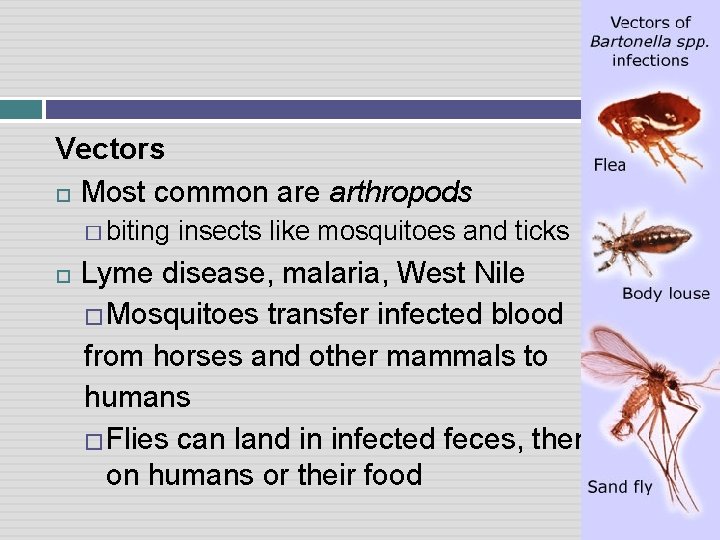 Vectors Most common are arthropods � biting insects like mosquitoes and ticks Lyme disease,