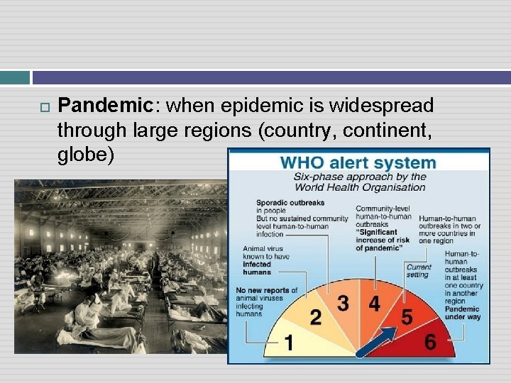  Pandemic: when epidemic is widespread through large regions (country, continent, globe) 