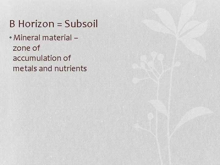 B Horizon = Subsoil • Mineral material – zone of accumulation of metals and