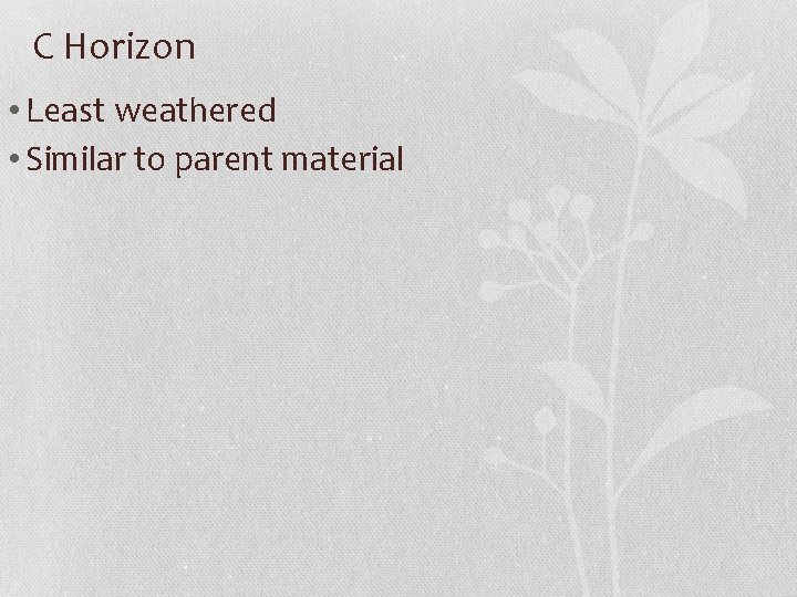 C Horizon • Least weathered • Similar to parent material 
