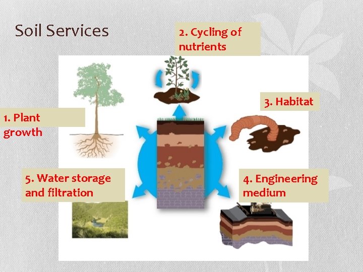 Soil Services 2. Cycling of nutrients 3. Habitat 1. Plant growth 5. Water storage