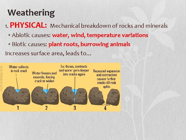 SOIL Weathering 1 PHYSICAL Mechanical breakdown of rocks