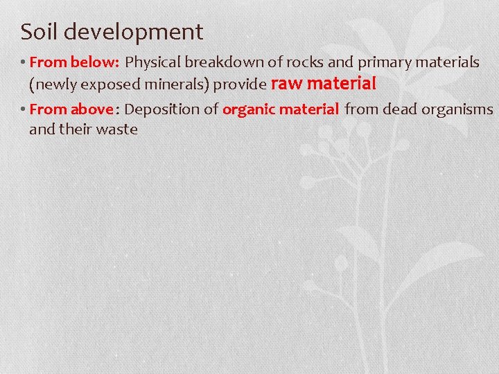 Soil development • From below: Physical breakdown of rocks and primary materials (newly exposed