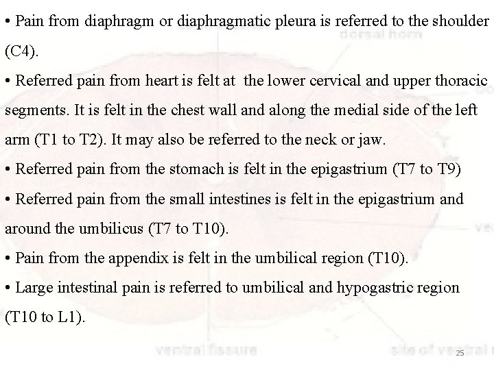  • Pain from diaphragm or diaphragmatic pleura is referred to the shoulder (C