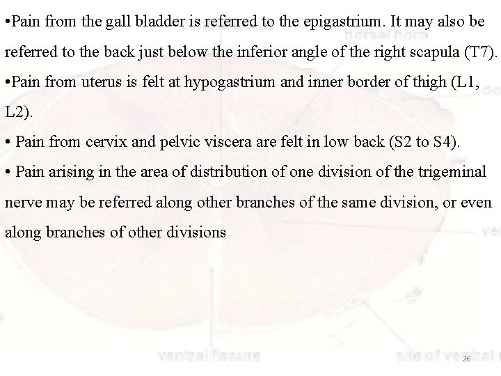  • Pain from the gall bladder is referred to the epigastrium. It may