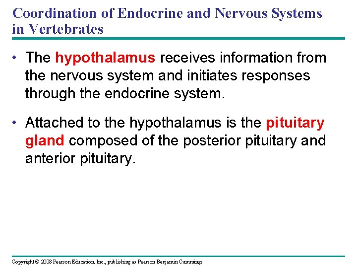 Coordination of Endocrine and Nervous Systems in Vertebrates • The hypothalamus receives information from