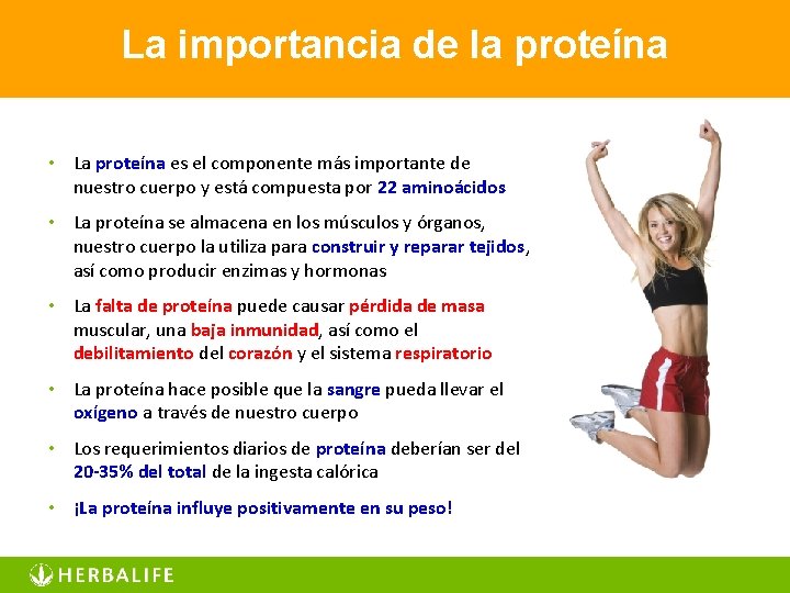 La importancia de la proteína • La proteína es el componente más importante de