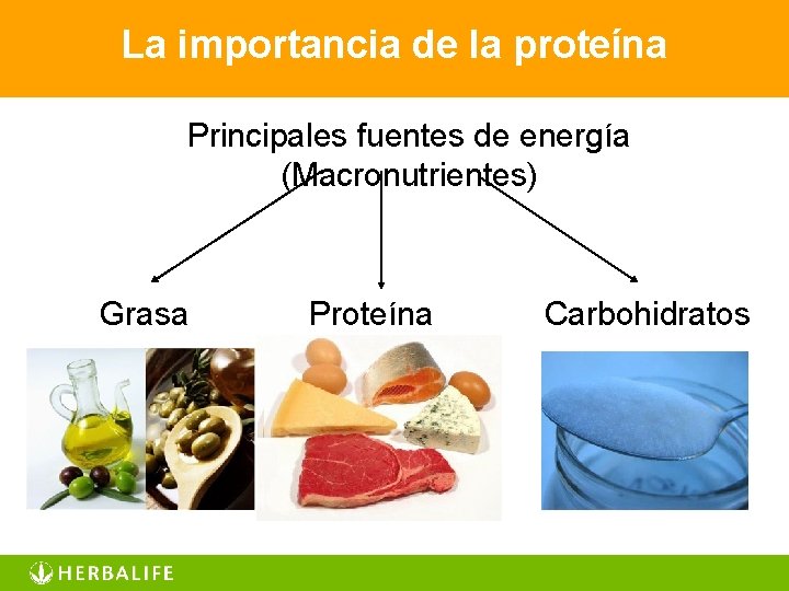 La importancia de la proteína Principales fuentes de energía (Macronutrientes) Grasa Proteína Carbohidratos 