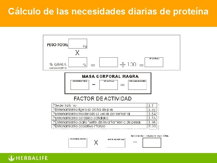 Cálculo de las necesidades diarias de proteína 