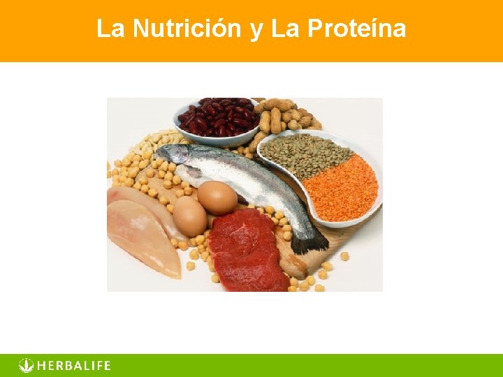 La Nutrición y La Proteína 