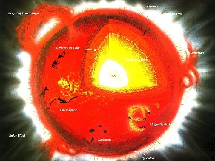 The Structure of the Sun 