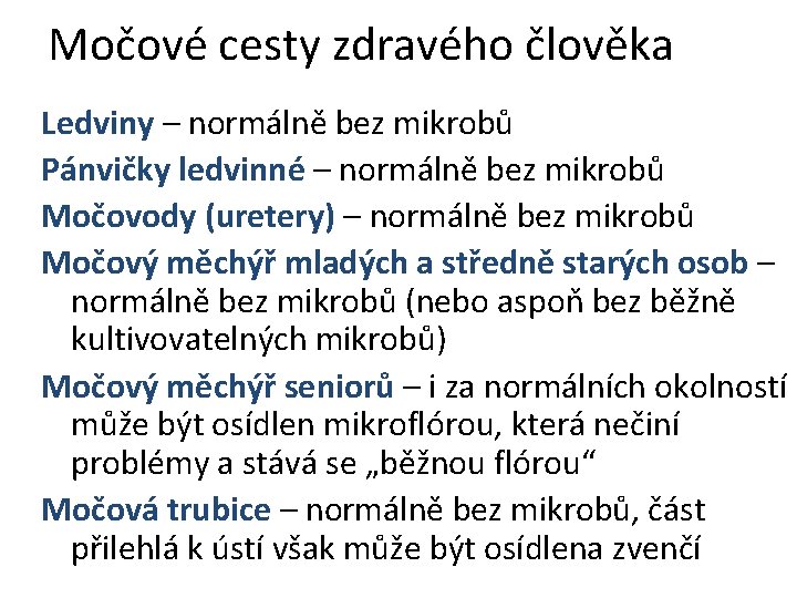 Močové cesty zdravého člověka Ledviny – normálně bez mikrobů Pánvičky ledvinné – normálně bez