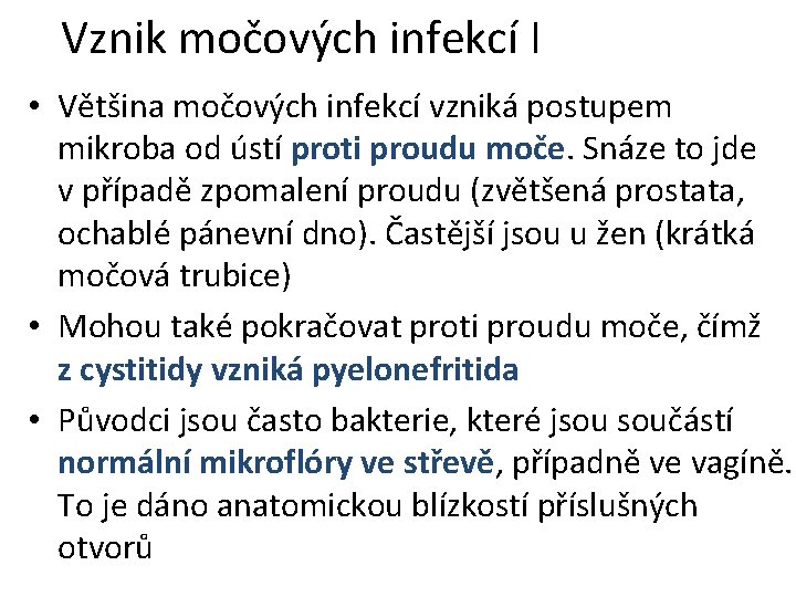 Vznik močových infekcí I • Většina močových infekcí vzniká postupem mikroba od ústí proti