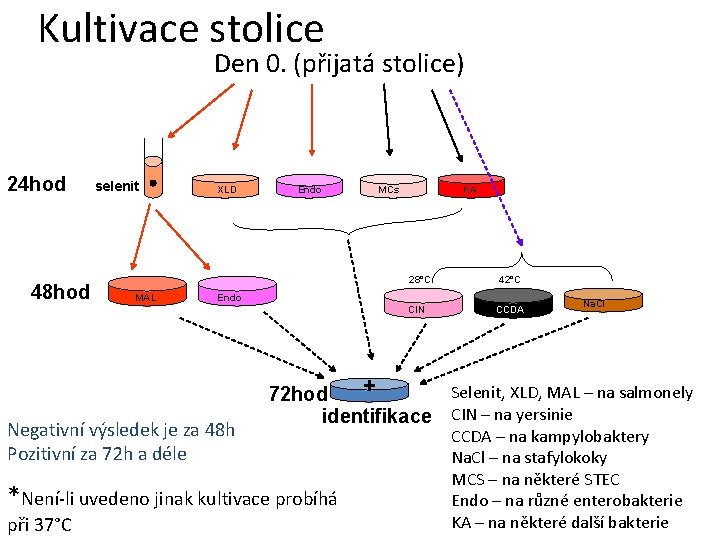 Kultivace stolice Den 0. (přijatá stolice) 24 hod 48 hod selenit XLD Endo MCs