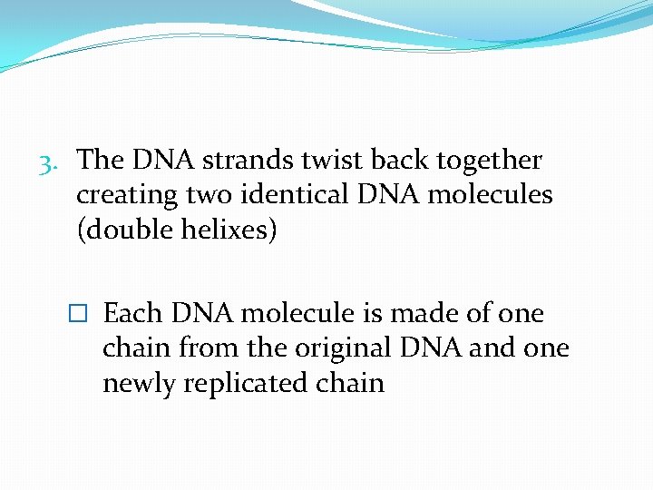 3. The DNA strands twist back together creating two identical DNA molecules (double helixes)