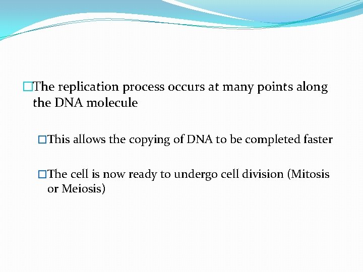 �The replication process occurs at many points along the DNA molecule �This allows the