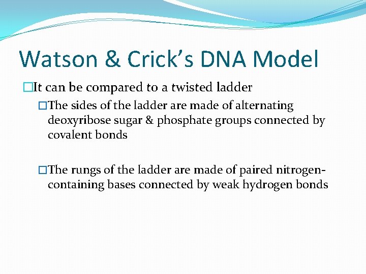 Watson & Crick’s DNA Model �It can be compared to a twisted ladder �The