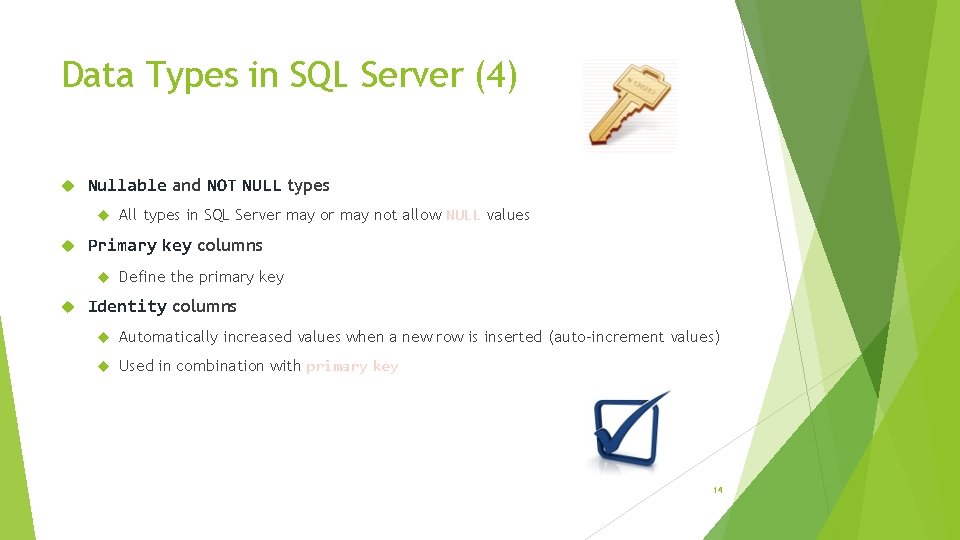 Data Types in SQL Server (4) Nullable and NOT NULL types Primary key columns