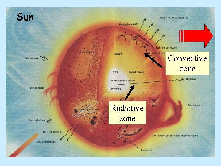 Sun Convective zone Radiative zone 