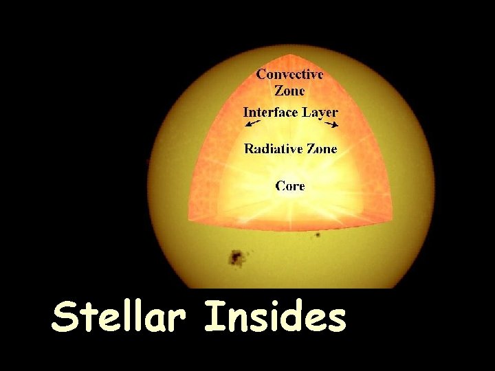 Stellar Insides 