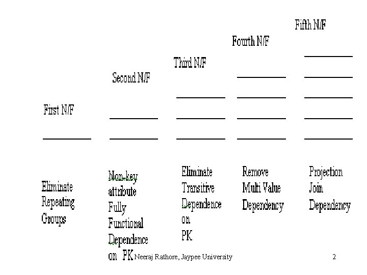 Neeraj Rathore, Jaypee University 2 