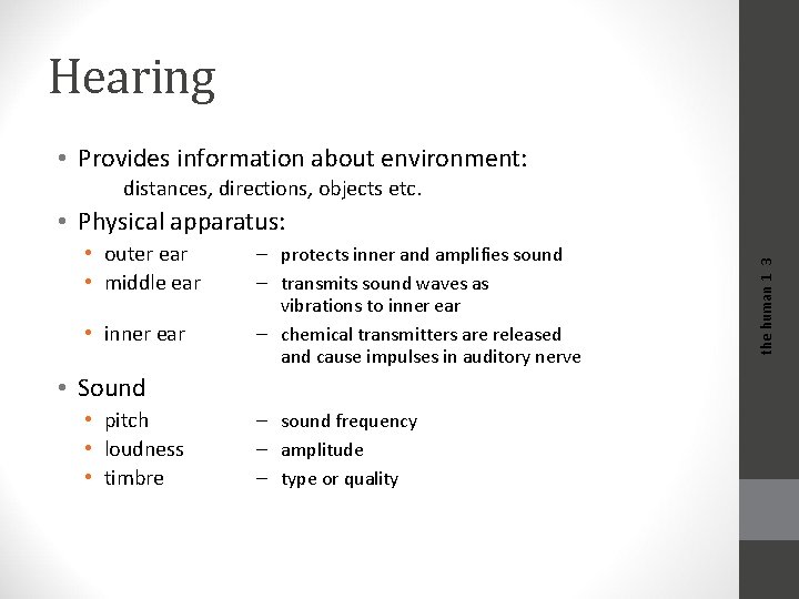 Hearing • Provides information about environment: distances, directions, objects etc. • outer ear •