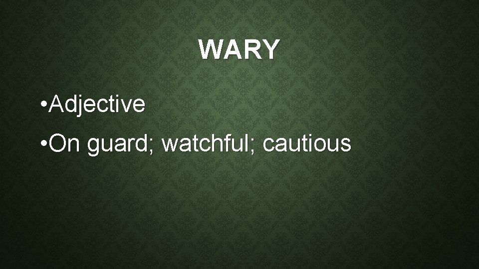 WARY • Adjective • On guard; watchful; cautious 