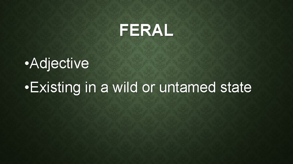 FERAL • Adjective • Existing in a wild or untamed state 