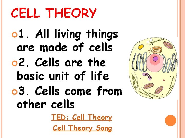 CELL THEORY 1. All living things are made of cells 2. Cells are the