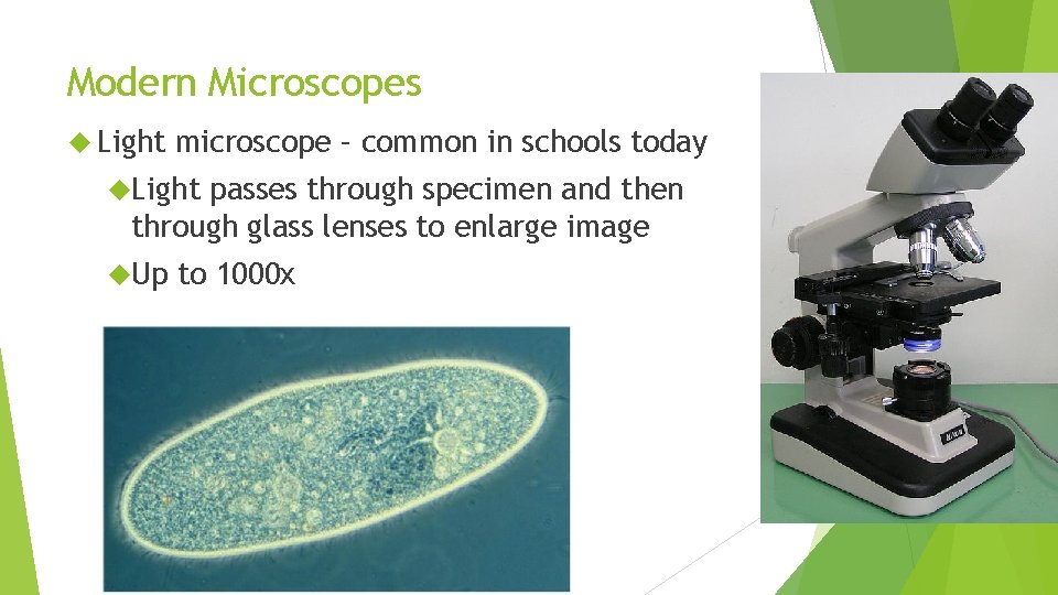 Modern Microscopes Light microscope – common in schools today Light passes through specimen and