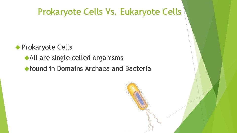 Prokaryote Cells Vs. Eukaryote Cells Prokaryote All Cells are single celled organisms found in