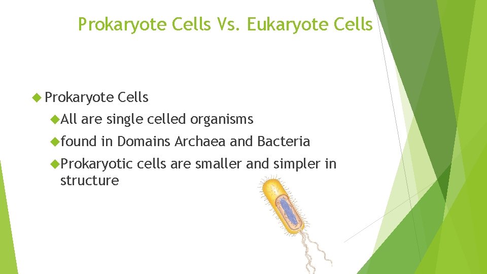 Prokaryote Cells Vs. Eukaryote Cells Prokaryote All Cells are single celled organisms found in