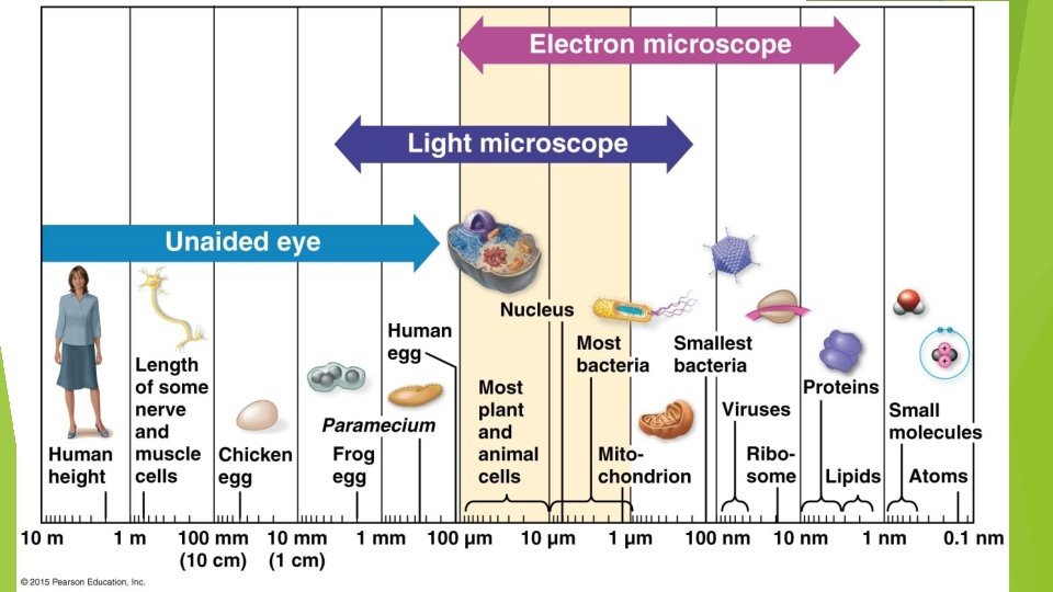 Metric Review 