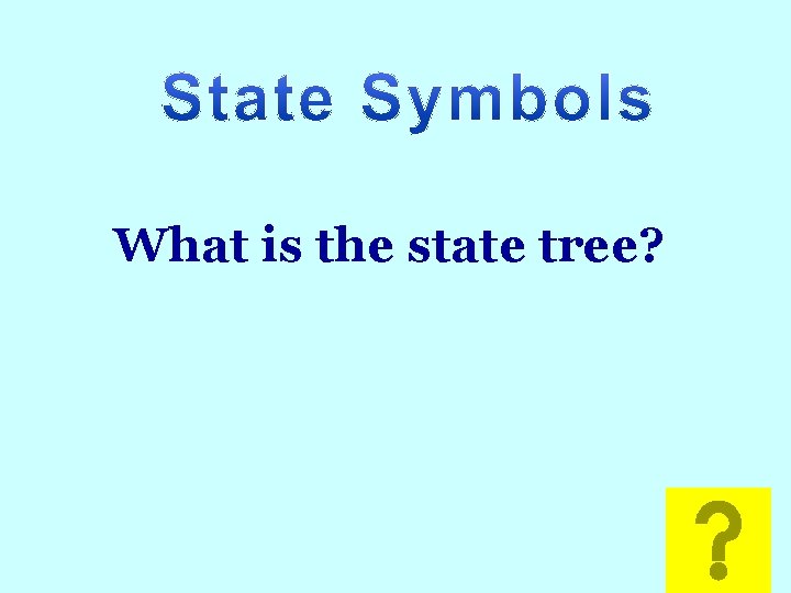 Math What is the state tree? 