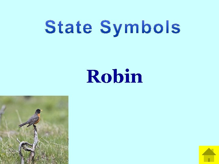 Math Robin 