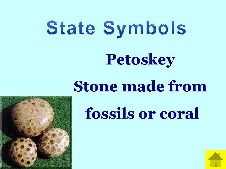 Petoskey Stone made from fossils or coral 