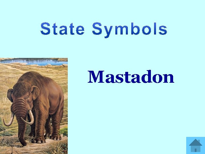 Mastadon 