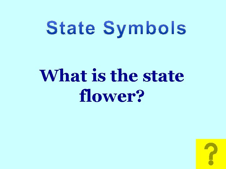 Math What is the state flower? 