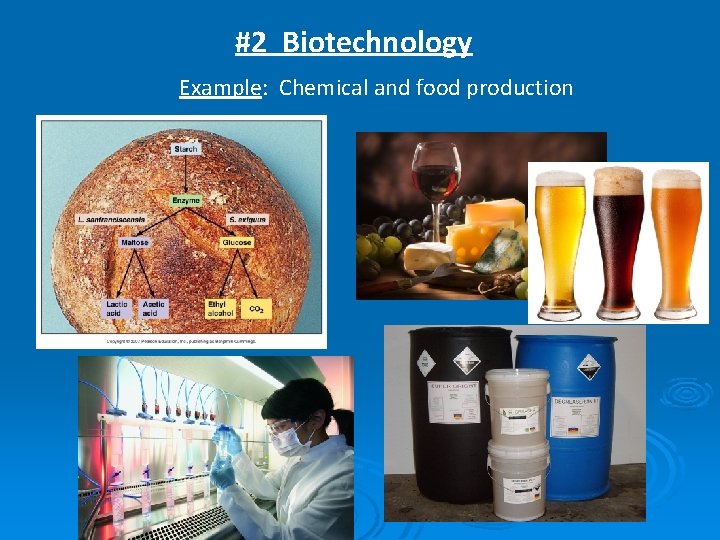 #2 Biotechnology Example: Chemical and food production 