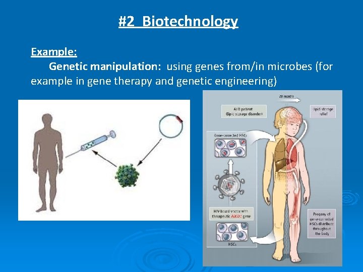 #2 Biotechnology Example: Genetic manipulation: using genes from/in microbes (for example in gene therapy