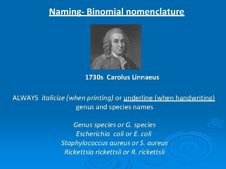 Naming- Binomial nomenclature 1730 s Carolus Linnaeus ALWAYS italicize (when printing) or underline (when