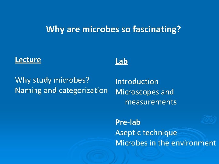 Why are microbes so fascinating? Lecture Lab Why study microbes? Introduction Naming and categorization