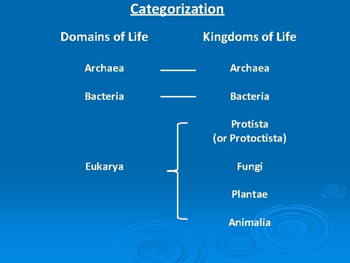 Categorization Domains of Life Kingdoms of Life Archaea Bacteria Protista (or Protoctista) Eukarya Fungi