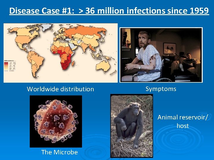 Disease Case #1: > 36 million infections since 1959 Worldwide distribution Symptoms Animal reservoir/