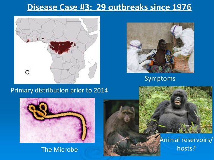 Disease Case #3: 29 outbreaks since 1976 Symptoms Primary distribution prior to 2014 The