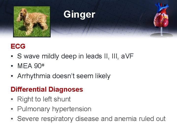 Ginger ECG • S wave mildly deep in leads II, III, a. VF •