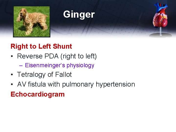 Ginger Right to Left Shunt • Reverse PDA (right to left) – Eisenmeinger’s physiology