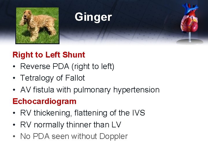 Ginger Right to Left Shunt • Reverse PDA (right to left) • Tetralogy of