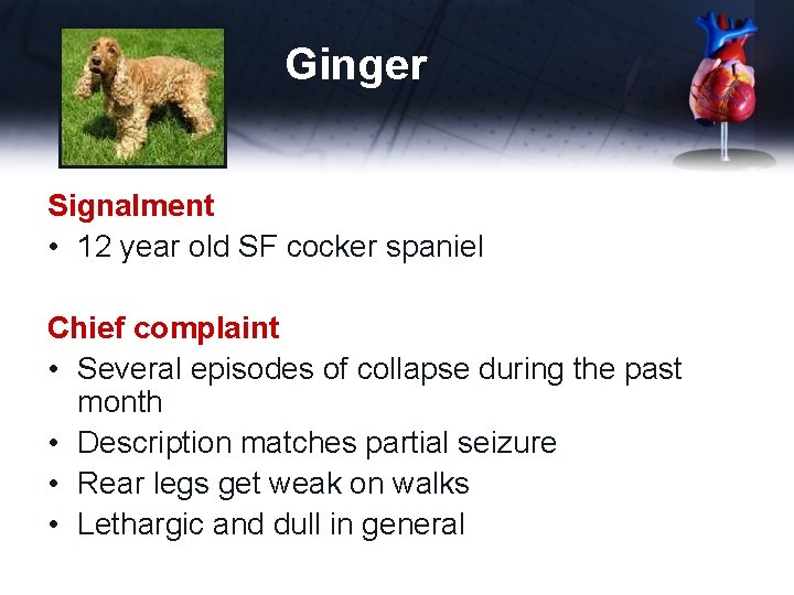 Ginger Signalment • 12 year old SF cocker spaniel Chief complaint • Several episodes